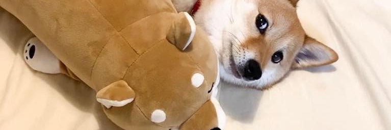 borderesteem's profile banner image