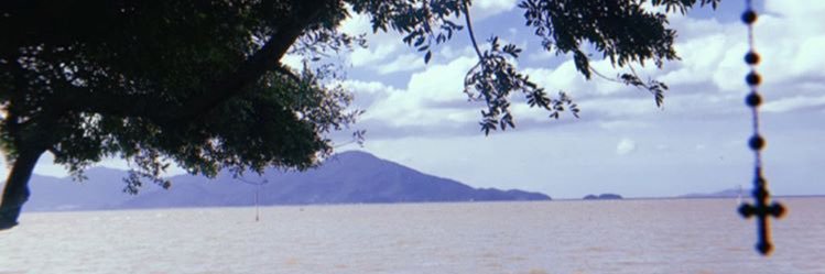 kamiadaghinari's profile banner image