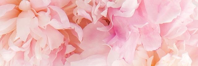pmrh9's profile banner image