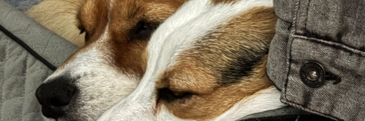 BunnRabbit6198's profile banner image