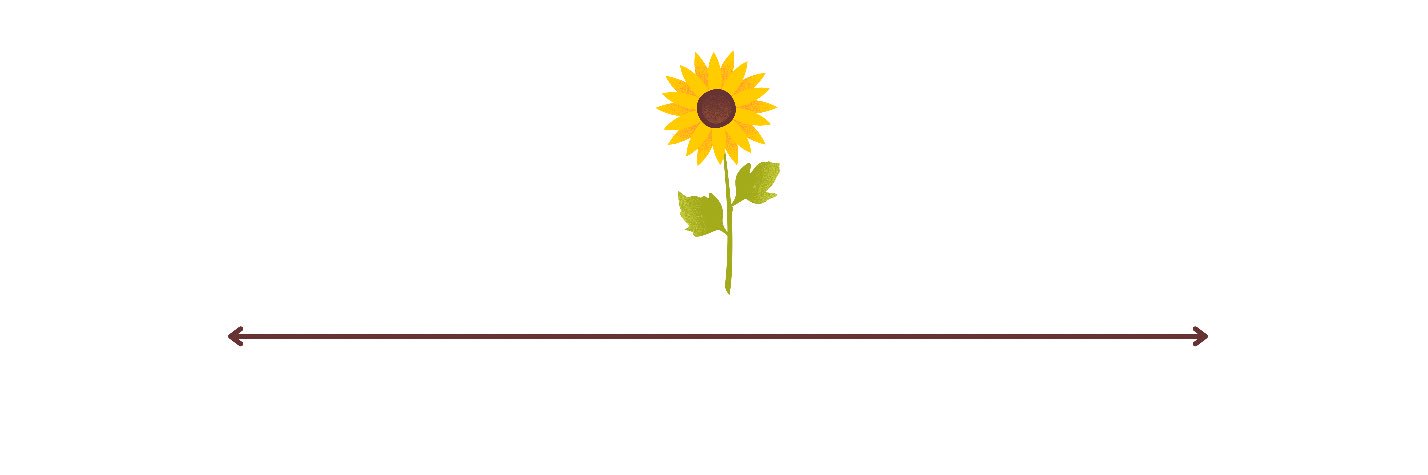 hiitsmemms's profile banner image