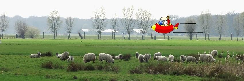Eline W. banner