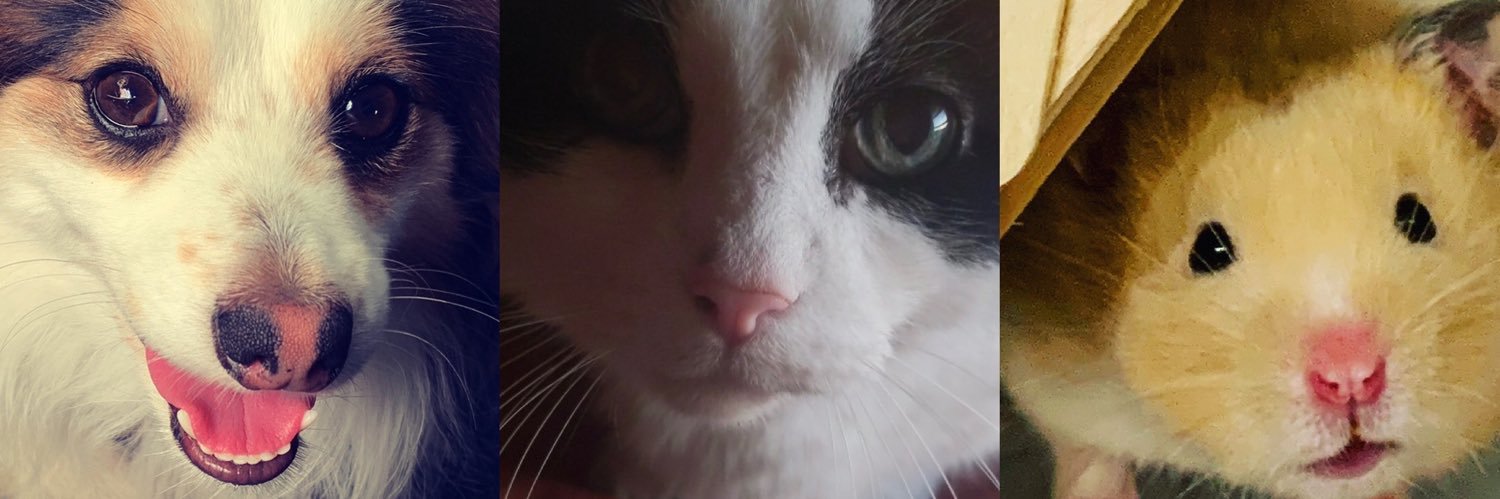 grlcat's profile banner image