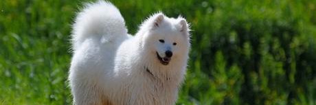 anthoulavoumva's profile banner image