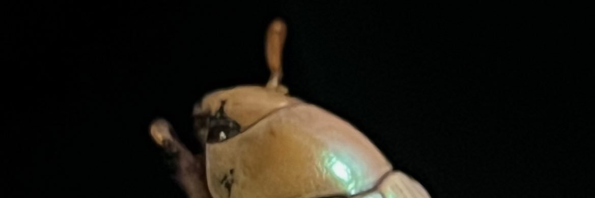 tonalidad_'s profile banner image
