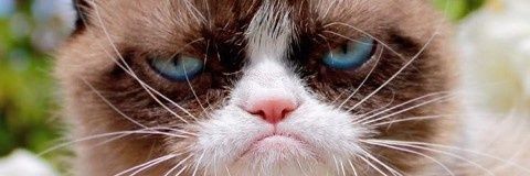 Deardoffe's profile banner image