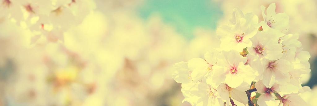 SOUSERRI's profile banner image