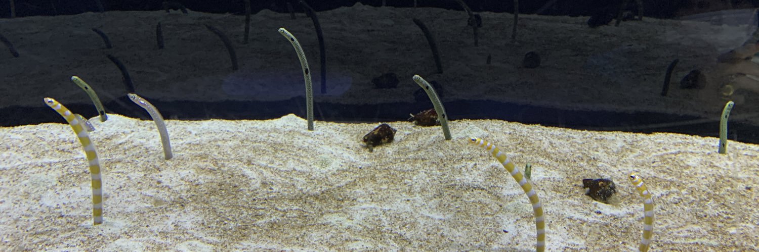 RIZEman/スギヤマ banner