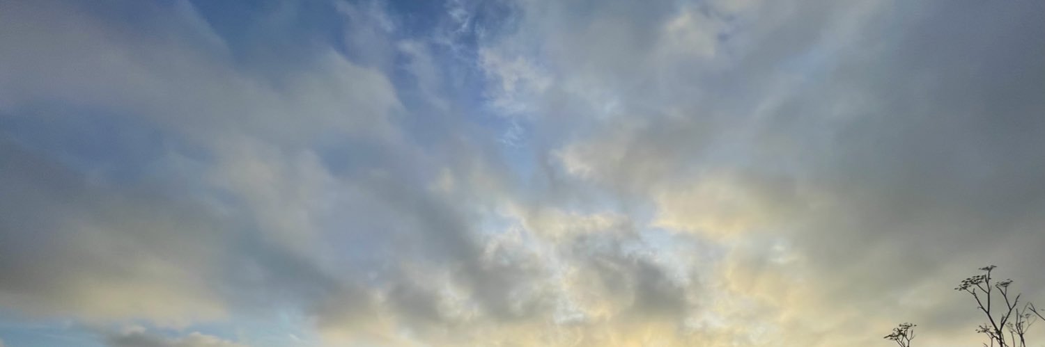 Kaitlyn Anne 🌸 banner