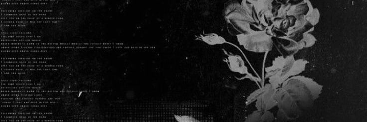 Synonymous R a e banner