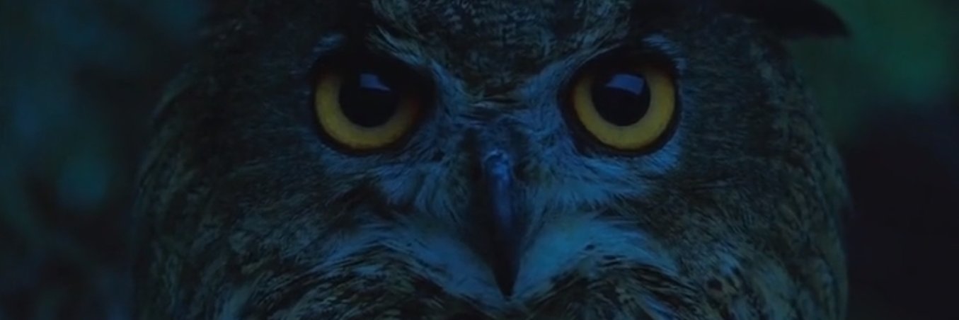 wozaki1's profile banner image