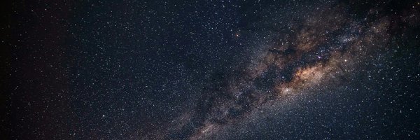 vicmignogna Profile Banner