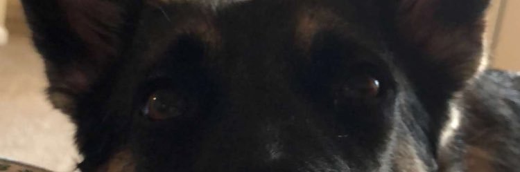 JMP_1000's profile banner image