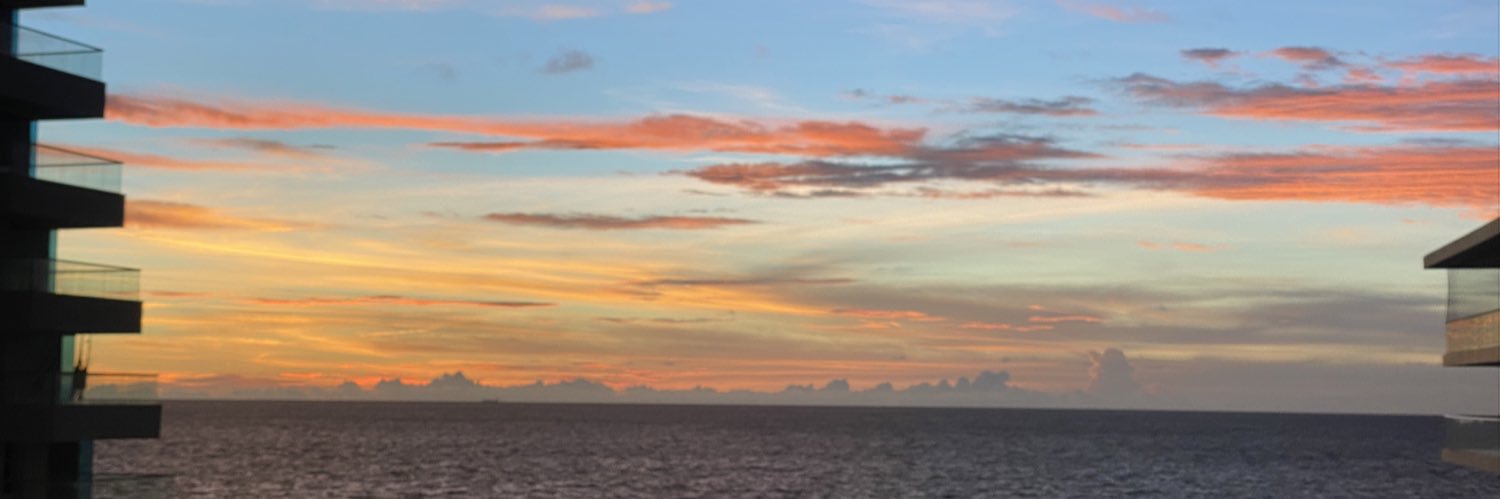 Daniela Santos M banner