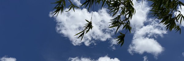 basbhaimomo Profile Banner