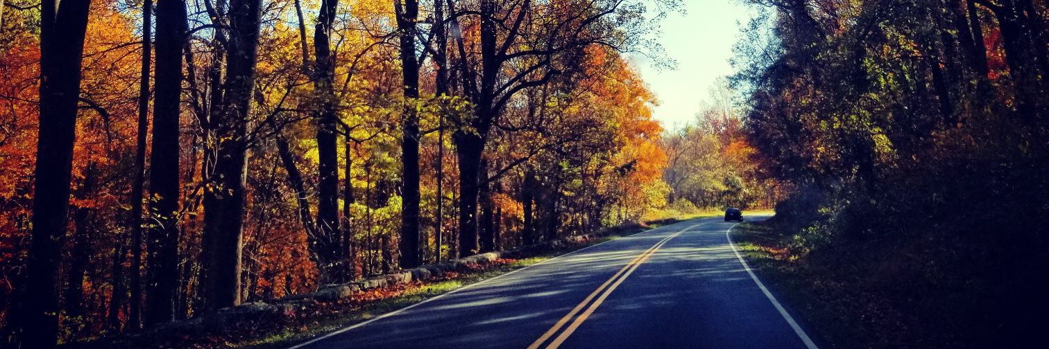 AmberMcDonald2's profile banner image