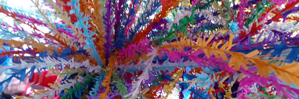 ssctbus Profile Banner