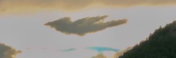 Windfall_ai's profile banner image