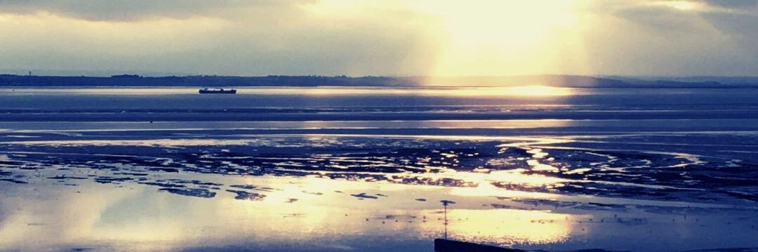 Dr Jane Booth banner