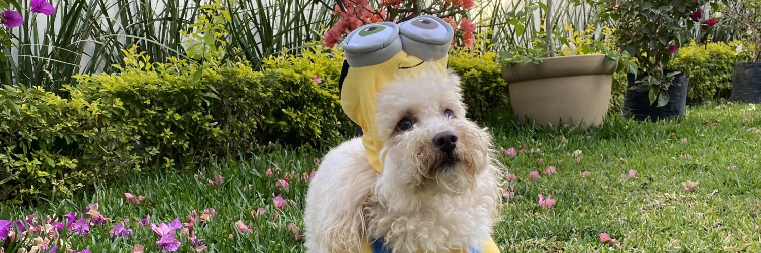 melissaordd's profile banner image