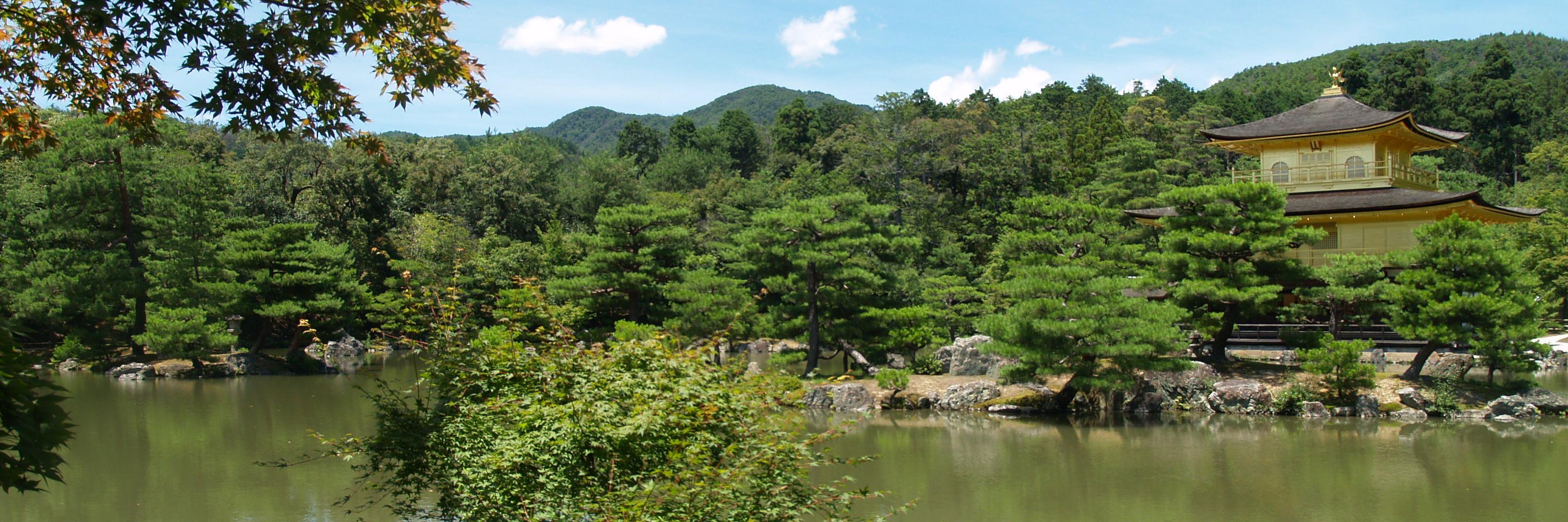 Morgan Hibbert banner