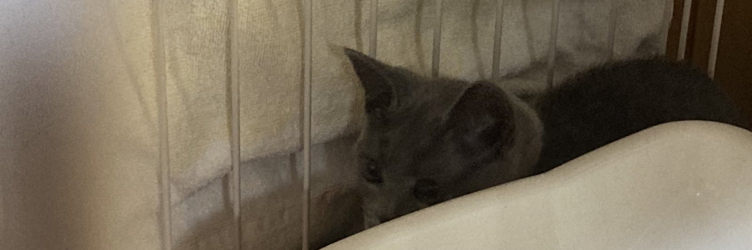 gatai79873's profile banner image