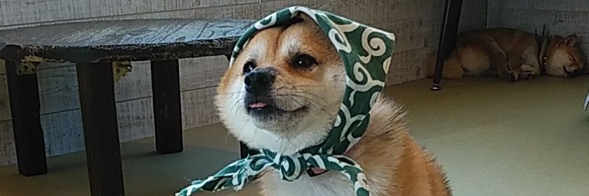 czan0710's profile banner image