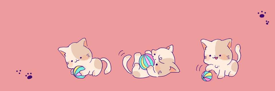 15939839hiro's profile banner image