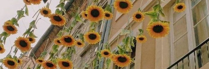 AngelaFerrandez's profile banner image