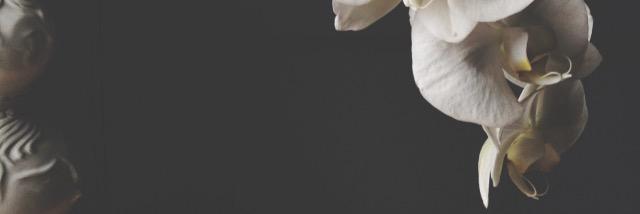 golfhii's profile banner image