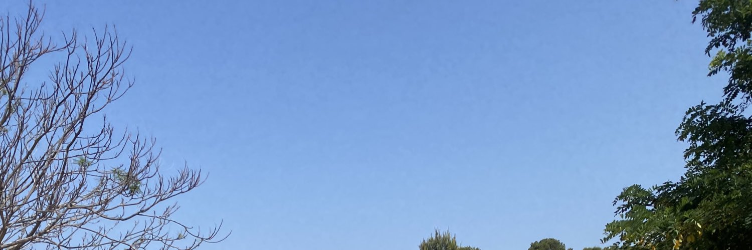 farianeb's profile banner image