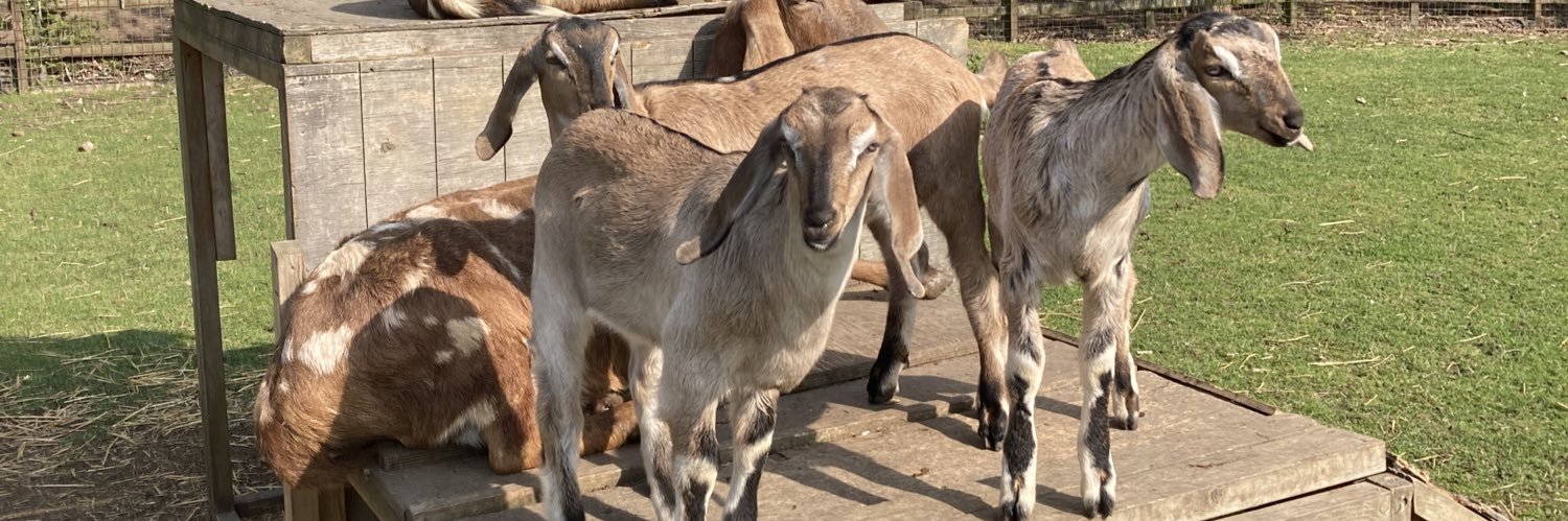 Hackney City Farm banner