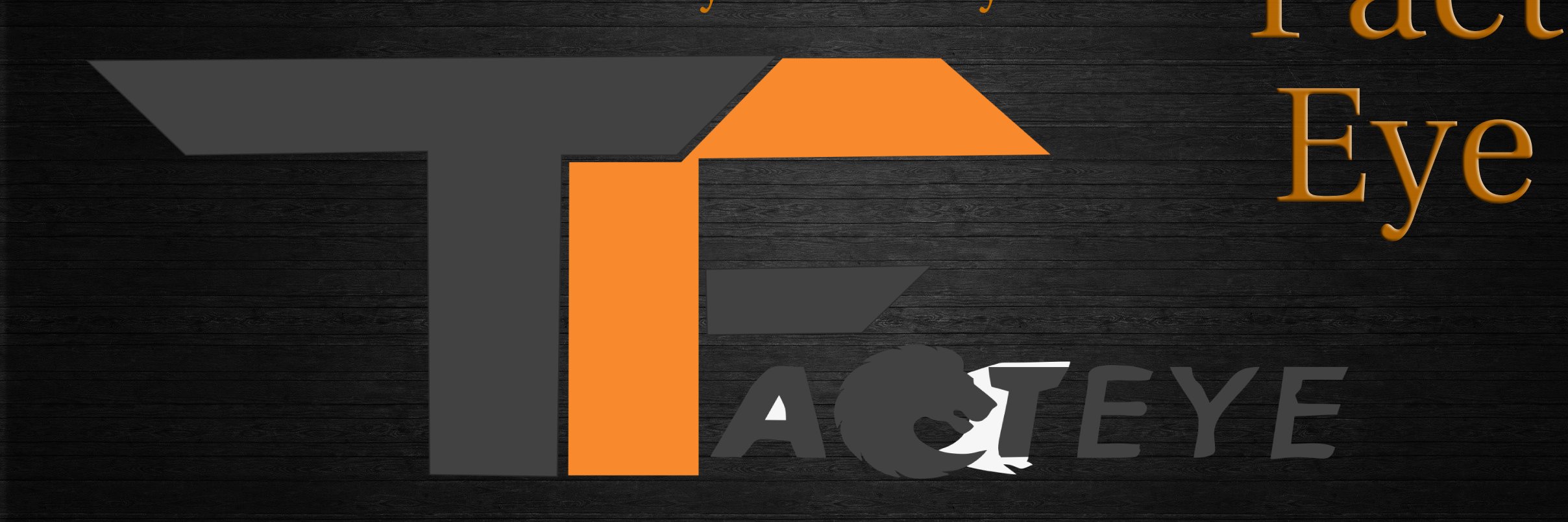 TheFactEye's profile banner image