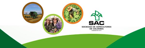 jebedoya Profile Banner