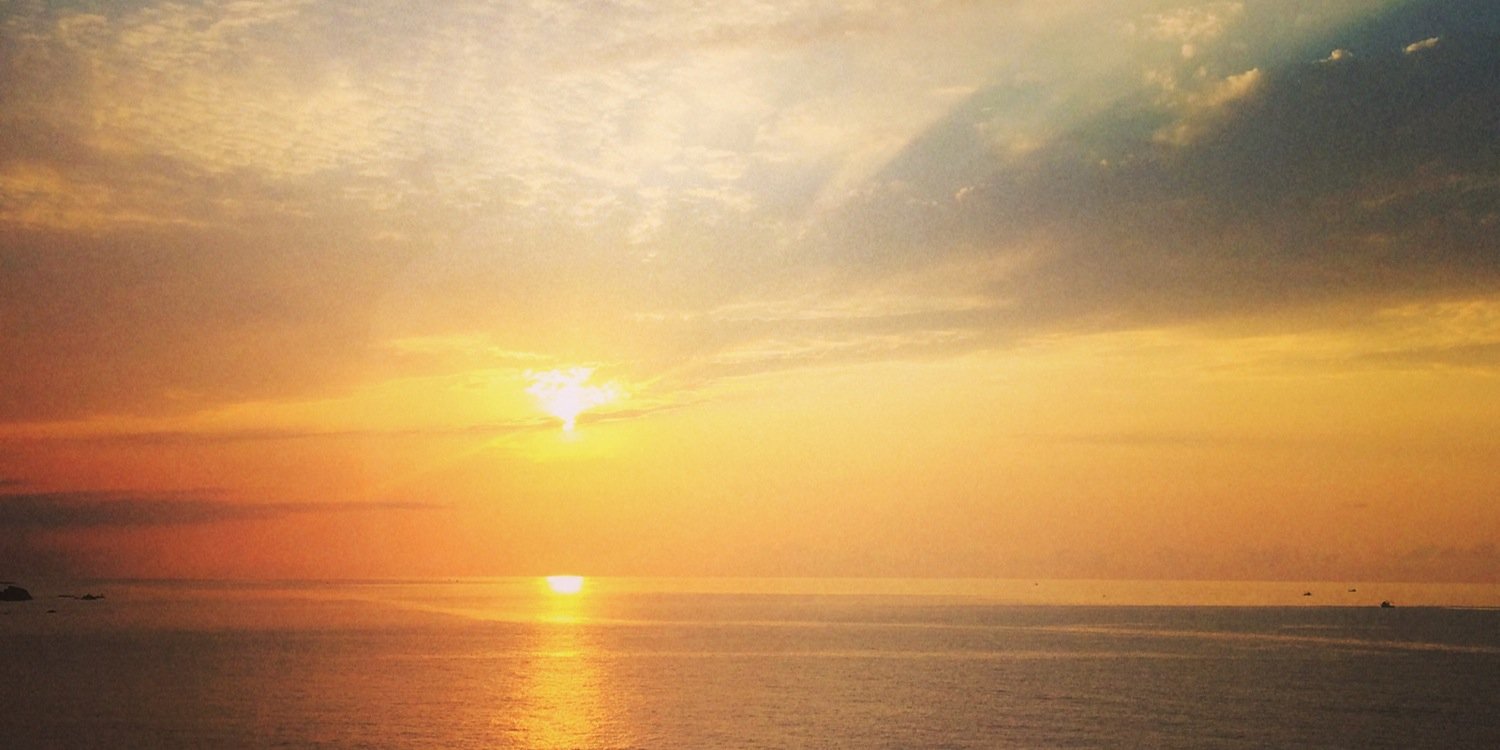 zlemorman's profile banner image