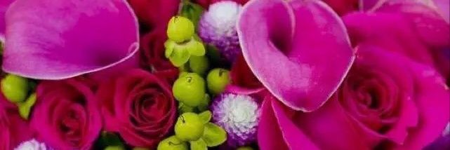 VianetPages's profile banner image