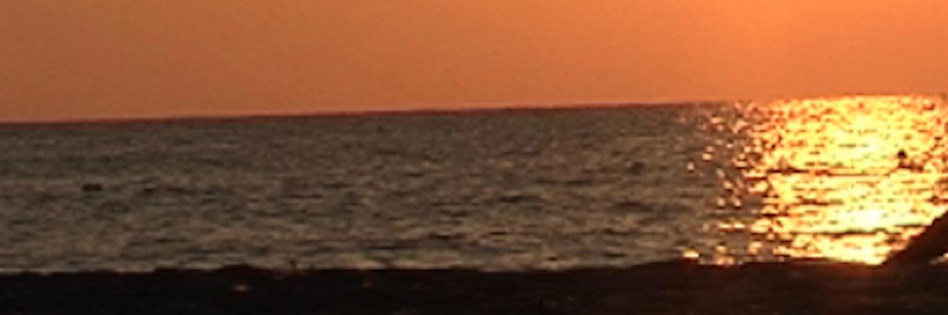 Cindi_Anne's profile banner image