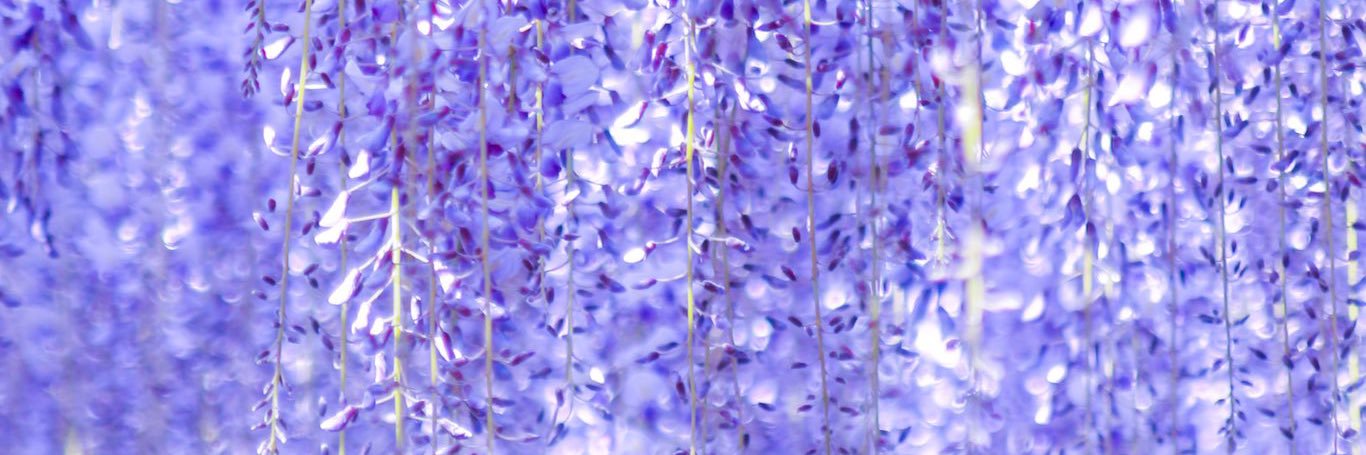 ___________2248's profile banner image