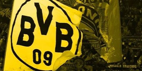 steven banner