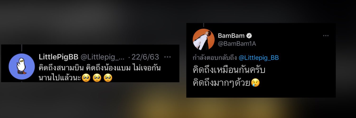 🎭𝙇𝙞𝙩𝙩𝙡𝙚𝙋𝙞𝙜_𝘽𝘽 🎭 banner