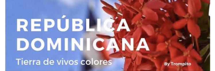 desarrollado's profile banner image