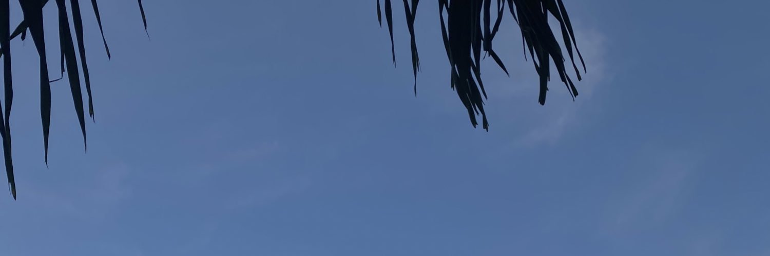 ruby — banner