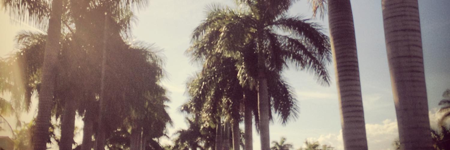 lyndsaymar's profile banner image