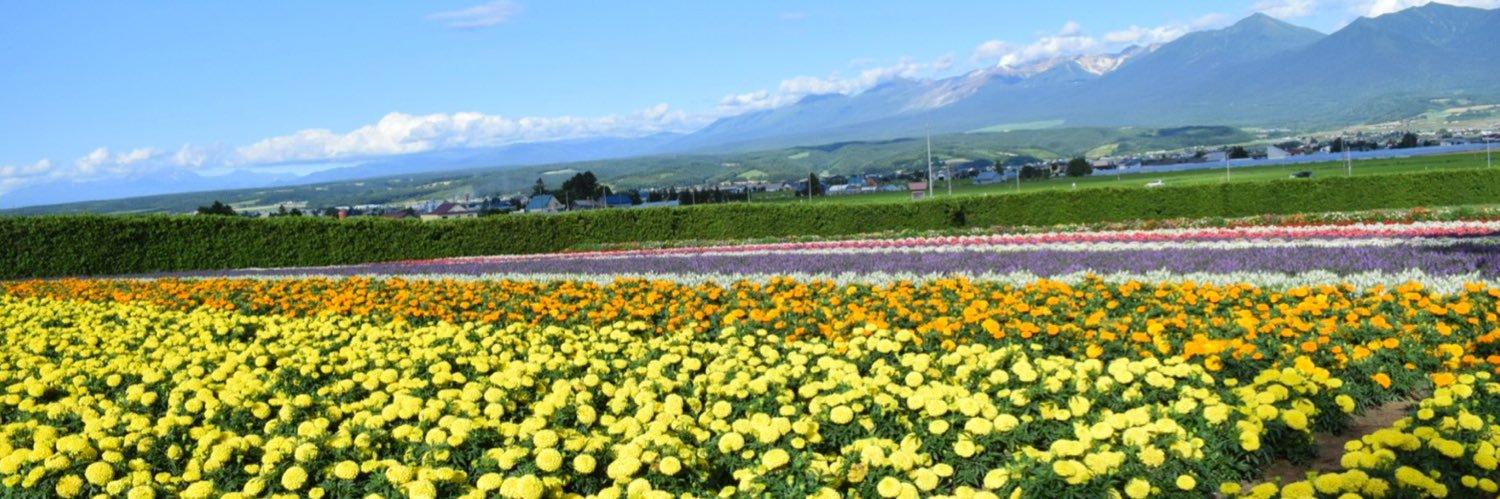 SAKOSTYLEJP's profile banner image