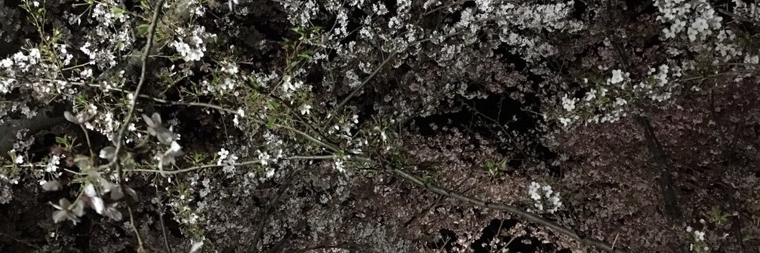 2yearsM's profile banner image