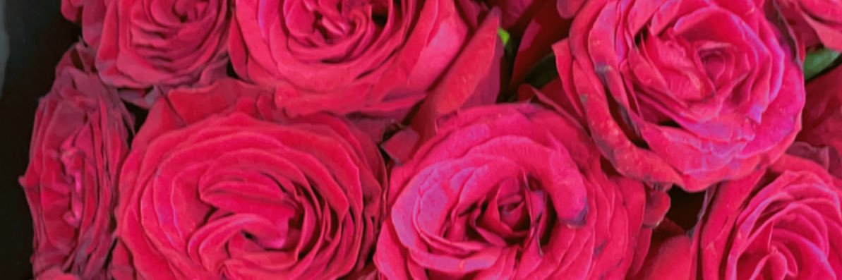 nawalsaad141's profile banner image