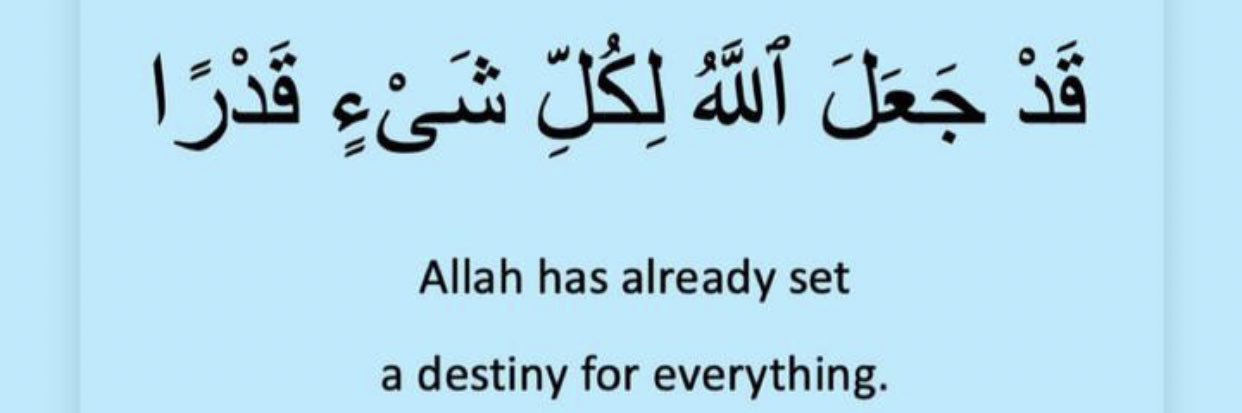 mhmd_aflan's profile banner image