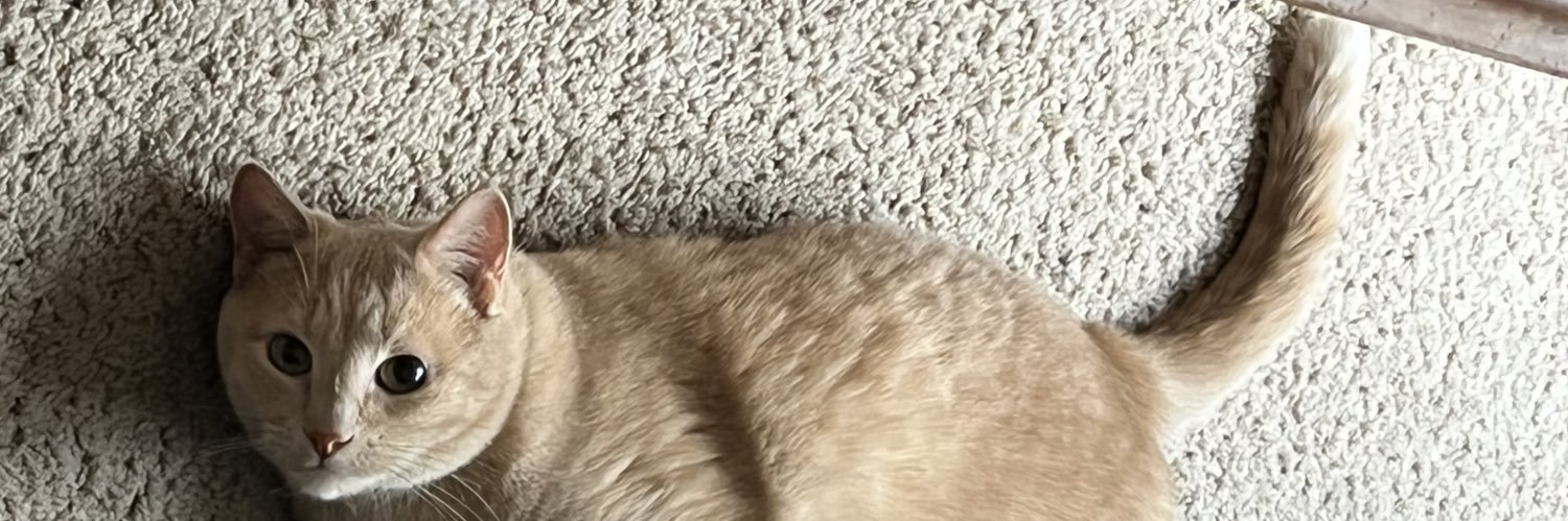 chalmy97's profile banner image
