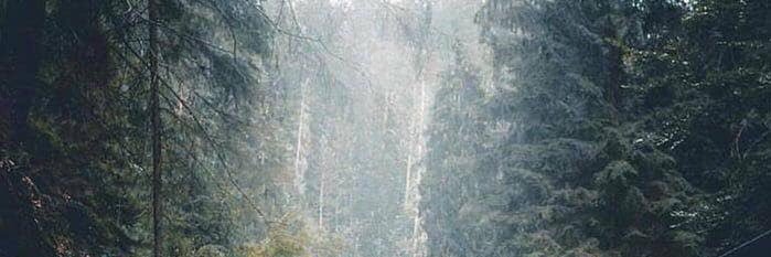 BeOneStarSport's profile banner image