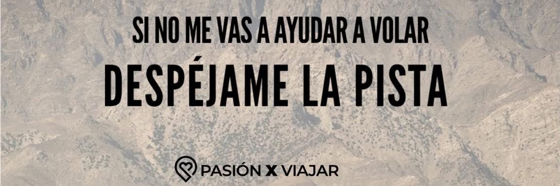 Susana08!🪽✨ banner